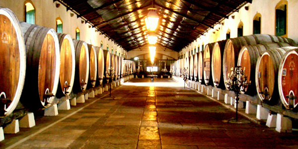 colares-bijzonder-wijngebied-portugal