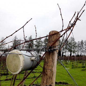 wijn excursie reestlandhoeve