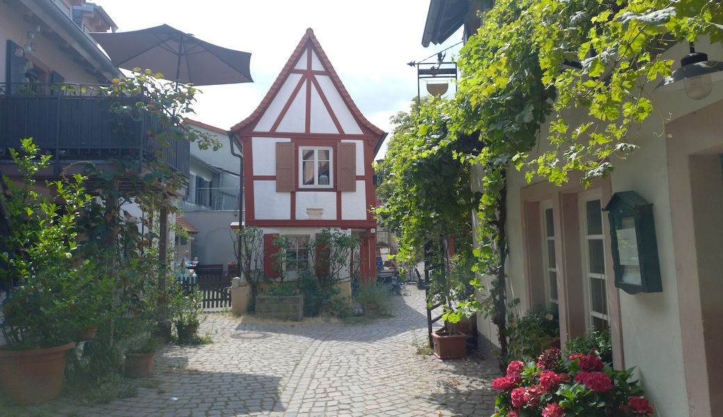 Pfalz wijnreis