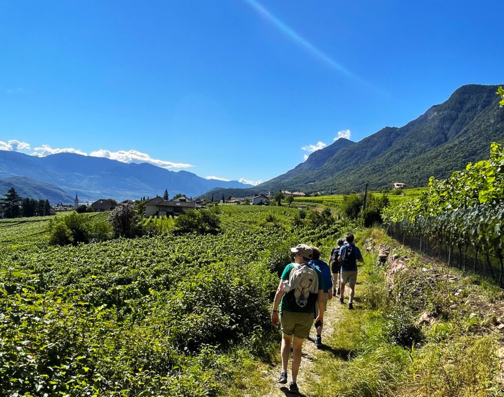 wijnwandeling in Südtirol