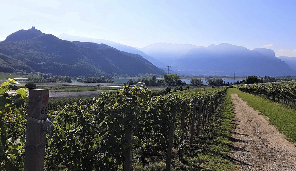 Wandelpad naar Kalterersee